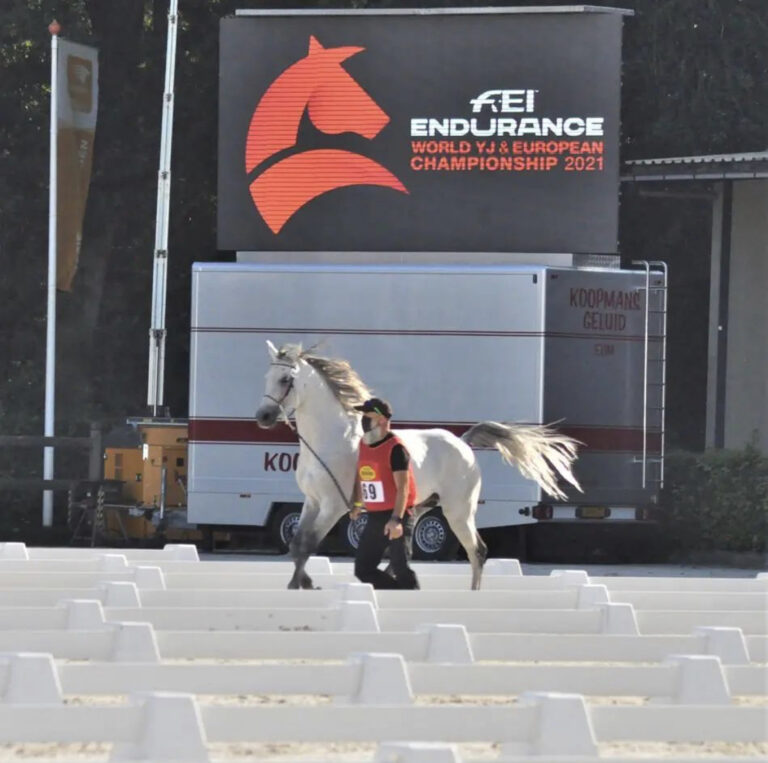 EK + WK FEI ENDURANCE ERMELO